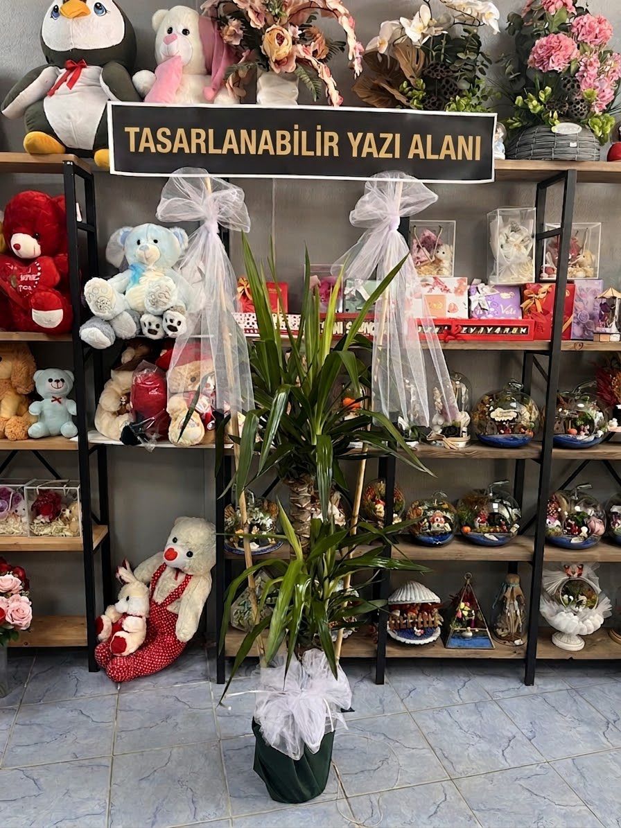 yukka-cicegi-iki-dalli